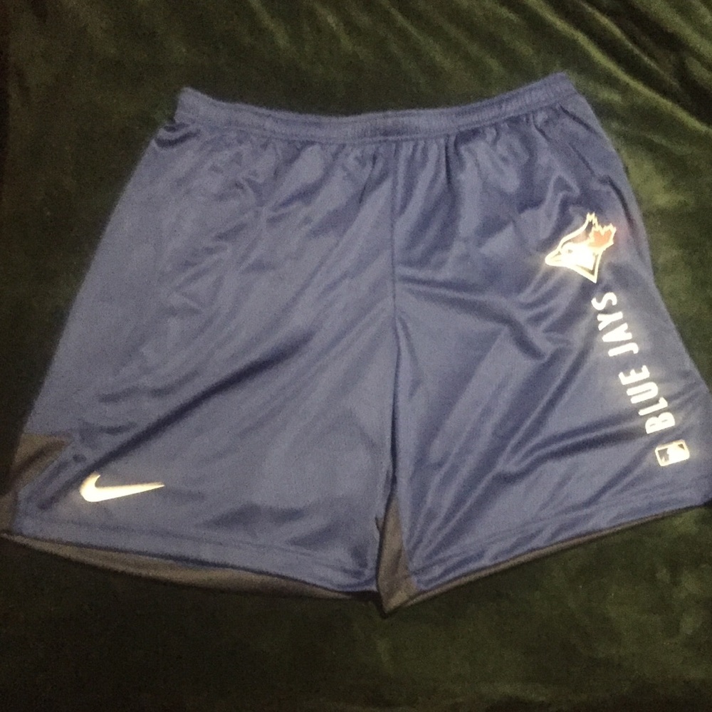 COPY - Toronto Blue Jays Authentic Collection Nike Dry On Field Workout Shorts